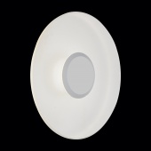 Светильник уличный настенно- потолочный ST-Luce SL925.501.01, Белый, LED 5W